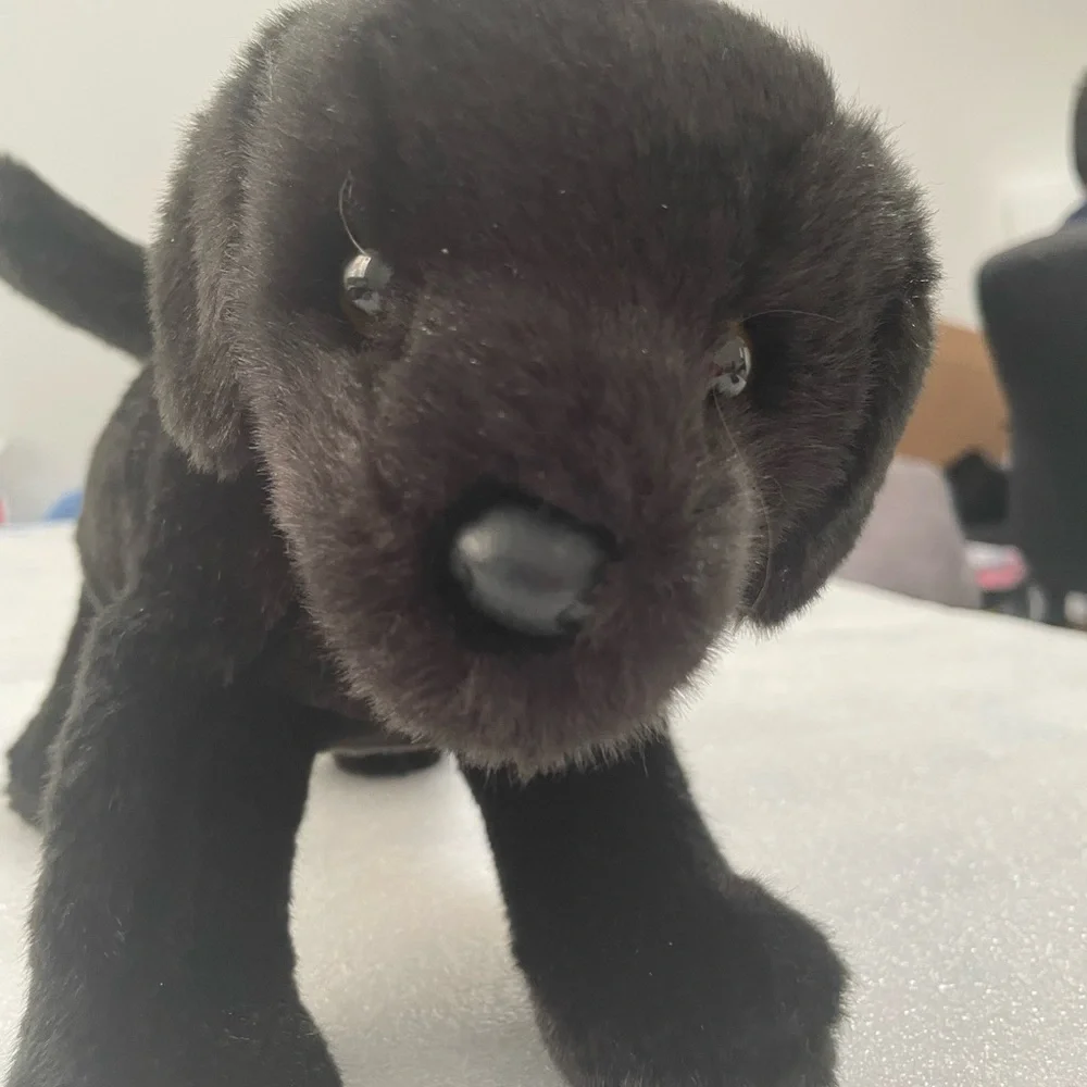Charming Black Plush Dog Toy